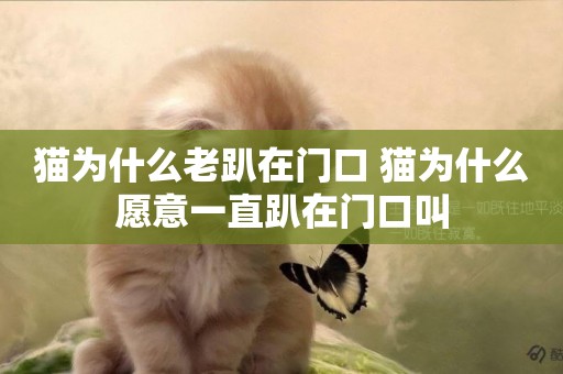貓為什么老趴在門口 貓為什么愿意一直趴在門口叫