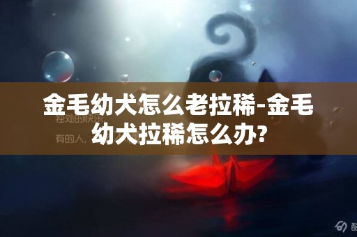 金毛幼犬怎么老拉稀-金毛幼犬拉稀怎么辦?