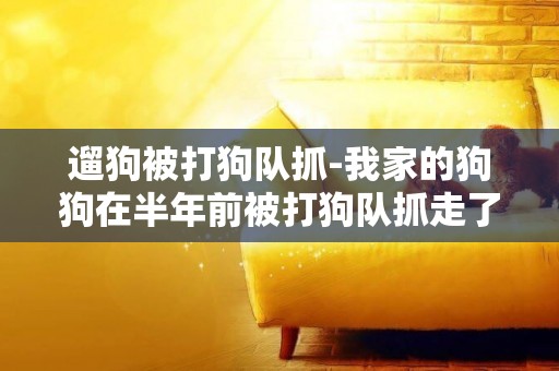 遛狗被打狗隊抓-我家的狗狗在半年前被打狗隊抓走了。但狗狗比較好看，所以送到了動物園。可是我不懂是什么