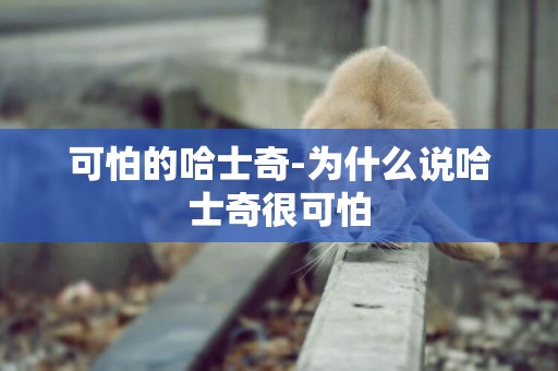 可怕的哈士奇-為什么說哈士奇很可怕