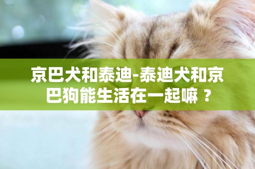京巴犬和泰迪-泰迪犬和京巴狗能生活在一起嘛 ？
