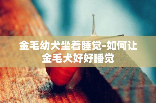 金毛幼犬坐著睡覺-如何讓金毛犬好好睡覺