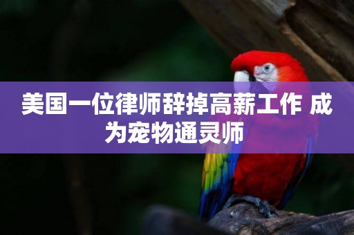 美國一位律師辭掉高薪工作 成為寵物通靈師 