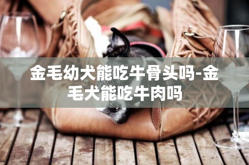 金毛幼犬能吃牛骨頭嗎-金毛犬能吃牛肉嗎