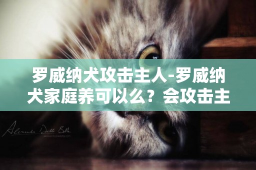 羅威納犬攻擊主人-羅威納犬家庭養可以么？會攻擊主人么？