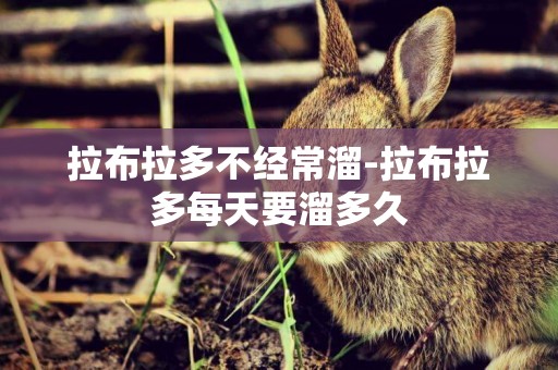拉布拉多不經常溜-拉布拉多每天要溜多久