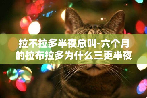 拉不拉多半夜總叫-六個月的拉布拉多為什么三更半夜會突然叫