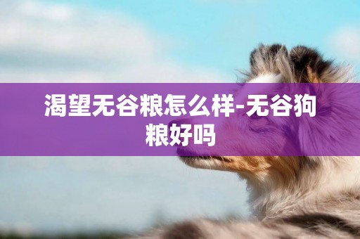 渴望無谷糧怎么樣-無谷狗糧好嗎