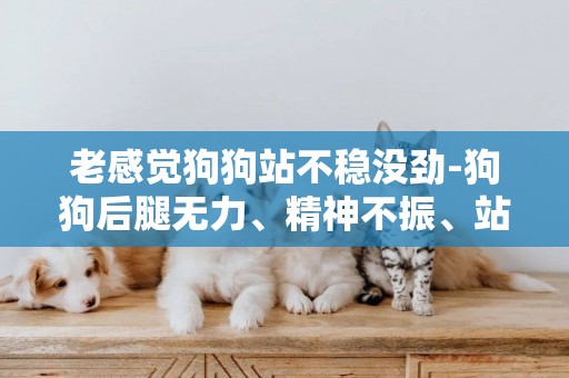 老感覺狗狗站不穩沒勁-狗狗后腿無力、精神不振、站不穩