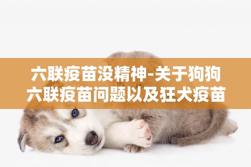六聯疫苗沒精神-關于狗狗六聯疫苗問題以及狂犬疫苗？？？？