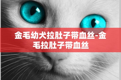 金毛幼犬拉肚子帶血絲-金毛拉肚子帶血絲