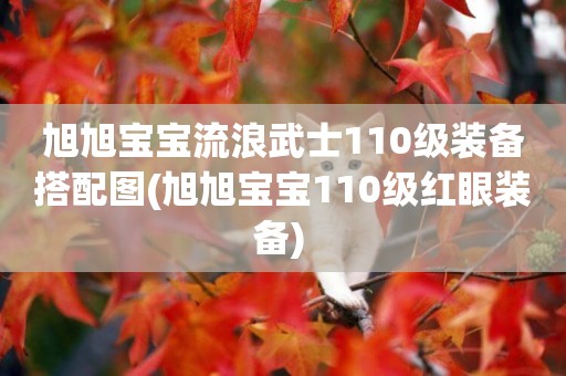 旭旭寶寶流浪武士110級裝備搭配圖(旭旭寶寶110級紅眼裝備) 