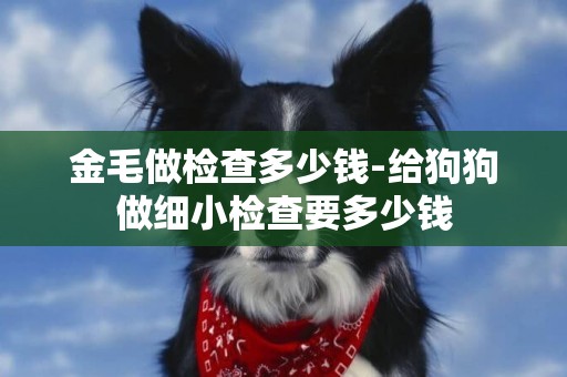 金毛做檢查多少錢-給狗狗做細小檢查要多少錢
