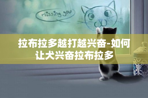 拉布拉多越打越興奮-如何讓犬興奮拉布拉多