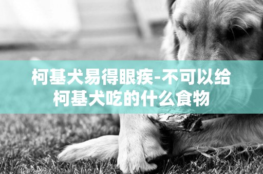 柯基犬易得眼疾-不可以給柯基犬吃的什么食物