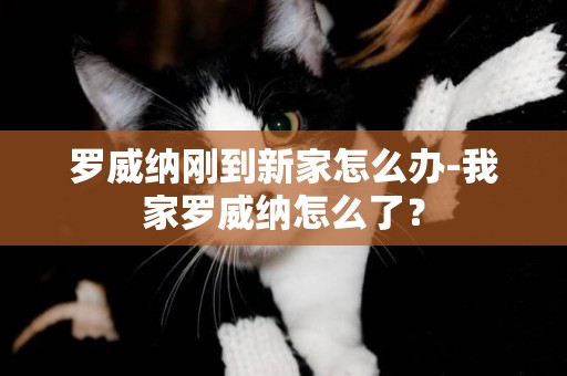 羅威納剛到新家怎么辦-我家羅威納怎么了？