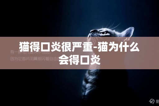 貓得口炎很嚴重-貓為什么會得口炎