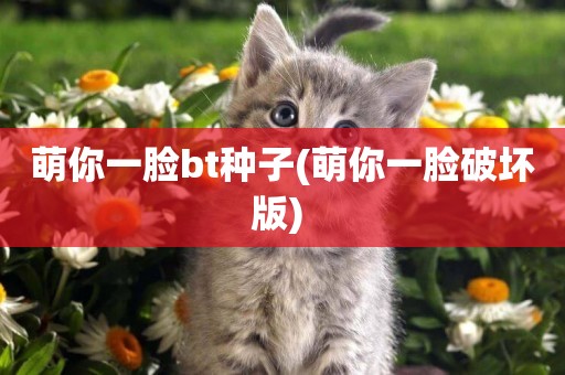萌你一臉bt種子(萌你一臉破壞版) 