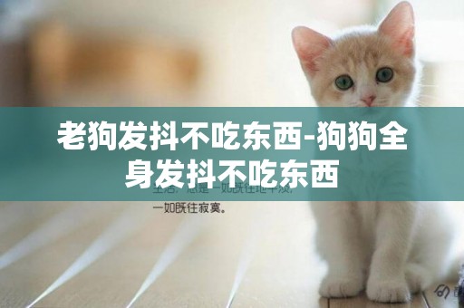 老狗發抖不吃東西-狗狗全身發抖不吃東西