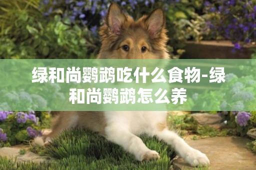 綠和尚鸚鵡吃什么食物-綠和尚鸚鵡怎么養