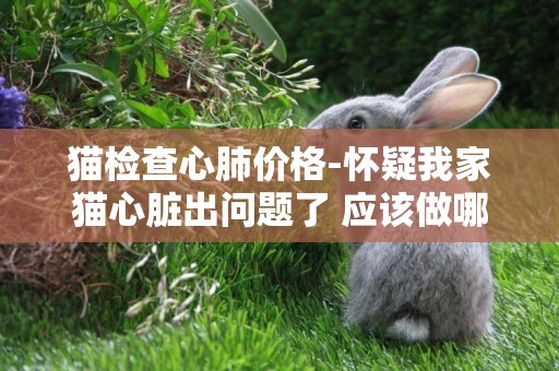 貓檢查心肺價格-懷疑我家貓心臟出問題了 應該做哪些檢查？