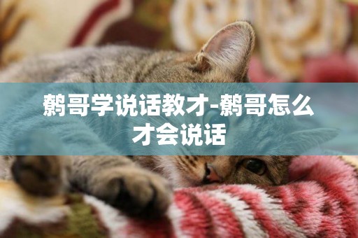 鷯哥學說話教才-鷯哥怎么才會說話