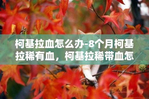 柯基拉血怎么辦-8個月柯基拉稀有血，柯基拉稀帶血怎么回事