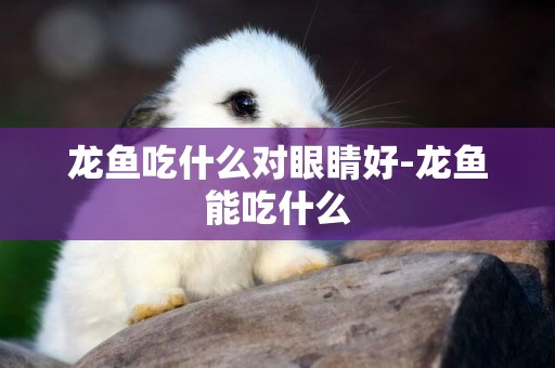 龍魚吃什么對眼睛好-龍魚能吃什么