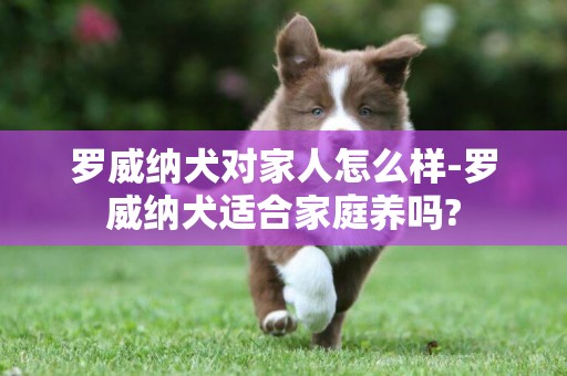 羅威納犬對家人怎么樣-羅威納犬適合家庭養嗎?