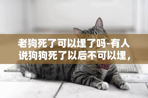 老狗死了可以埋了嗎-有人說狗狗死了以后不可以埋，這是真的嗎？