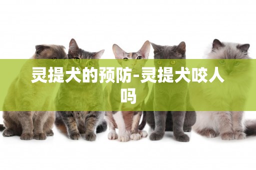 靈提犬的預防-靈提犬咬人嗎