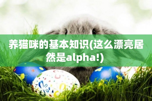 養貓咪的基本知識(這么漂亮居然是alpha!) 