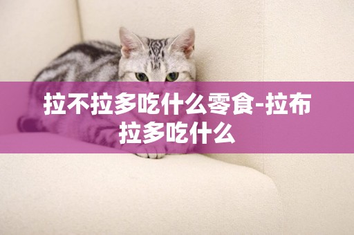 拉不拉多吃什么零食-拉布拉多吃什么
