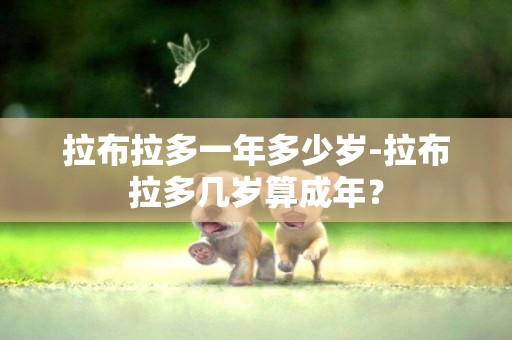 拉布拉多一年多少歲-拉布拉多幾歲算成年？