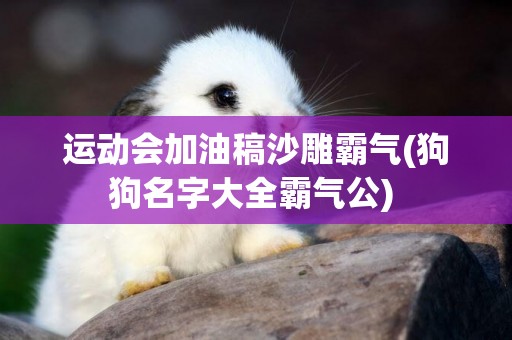 運動會加油稿沙雕霸氣(狗狗名字大全霸氣公) 
