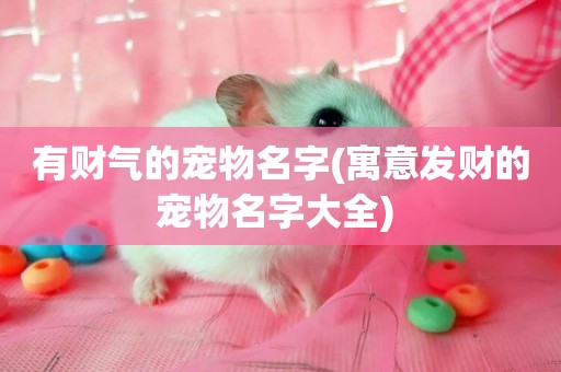 有財氣的寵物名字(寓意發財的寵物名字大全) 