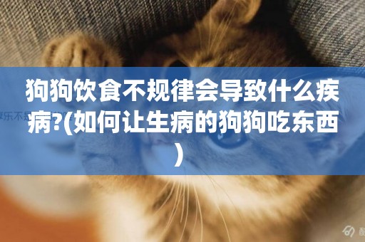 狗狗飲食不規律會導致什么疾病?(如何讓生病的狗狗吃東西) 