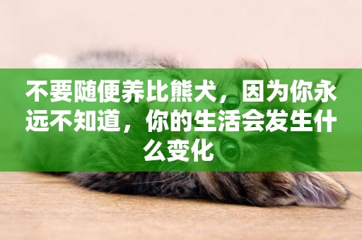 不要隨便養比熊犬，因為你永遠不知道，你的生活會發生什么變化 