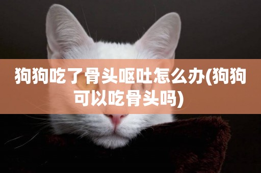 狗狗吃了骨頭嘔吐怎么辦(狗狗可以吃骨頭嗎) 