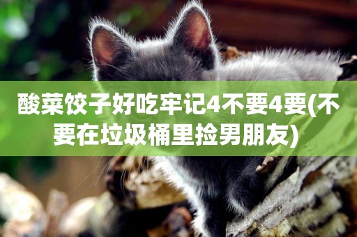 酸菜餃子好吃牢記4不要4要(不要在垃圾桶里撿男朋友) 