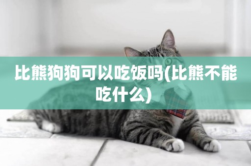 比熊狗狗可以吃飯嗎(比熊不能吃什么) 