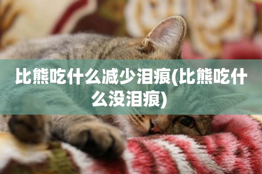 比熊吃什么減少淚痕(比熊吃什么沒淚痕) 
