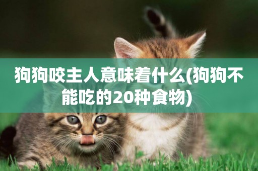 狗狗咬主人意味著什么(狗狗不能吃的20種食物) 