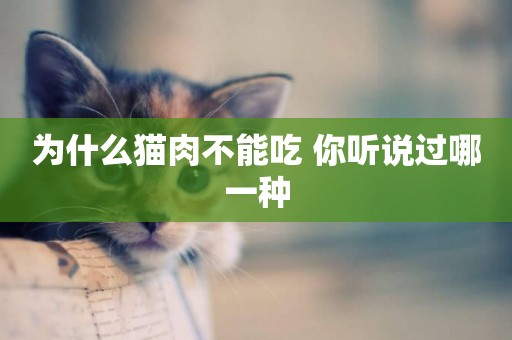 為什么貓肉不能吃 你聽說過哪一種