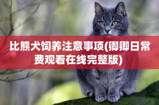 比熊犬飼養注意事項(卿卿日常費觀看在線完整版) 