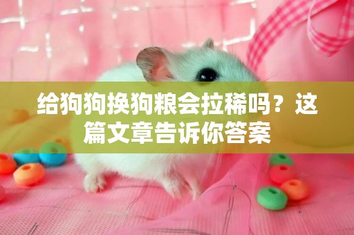 給狗狗換狗糧會拉稀嗎？這篇文章告訴你答案