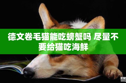 德文卷毛貓能吃螃蟹嗎 盡量不要給貓吃海鮮