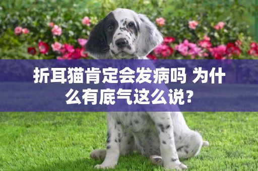折耳貓肯定會發病嗎 為什么有底氣這么說？
