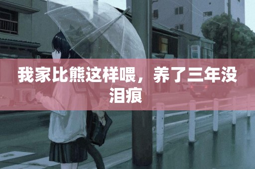 我家比熊這樣喂，養了三年沒淚痕 