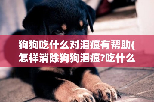 狗狗吃什么對淚痕有幫助(怎樣消除狗狗淚痕?吃什么好?) 
